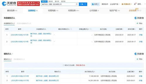 羅永浩拒不履行2142萬元債務，基礎軟件服務再陷風波